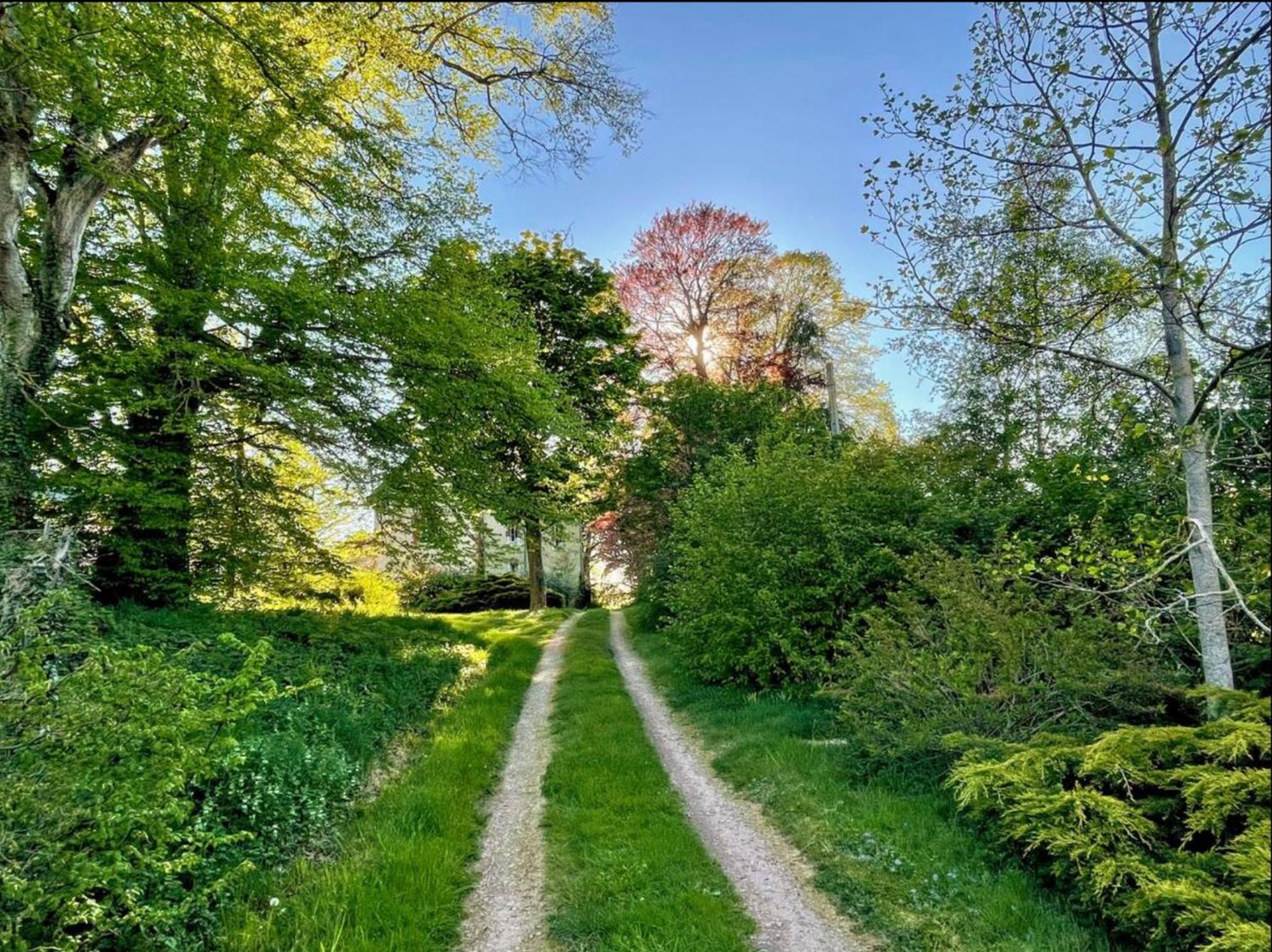 Chateau De La Combe La Celle  Bagian luar foto