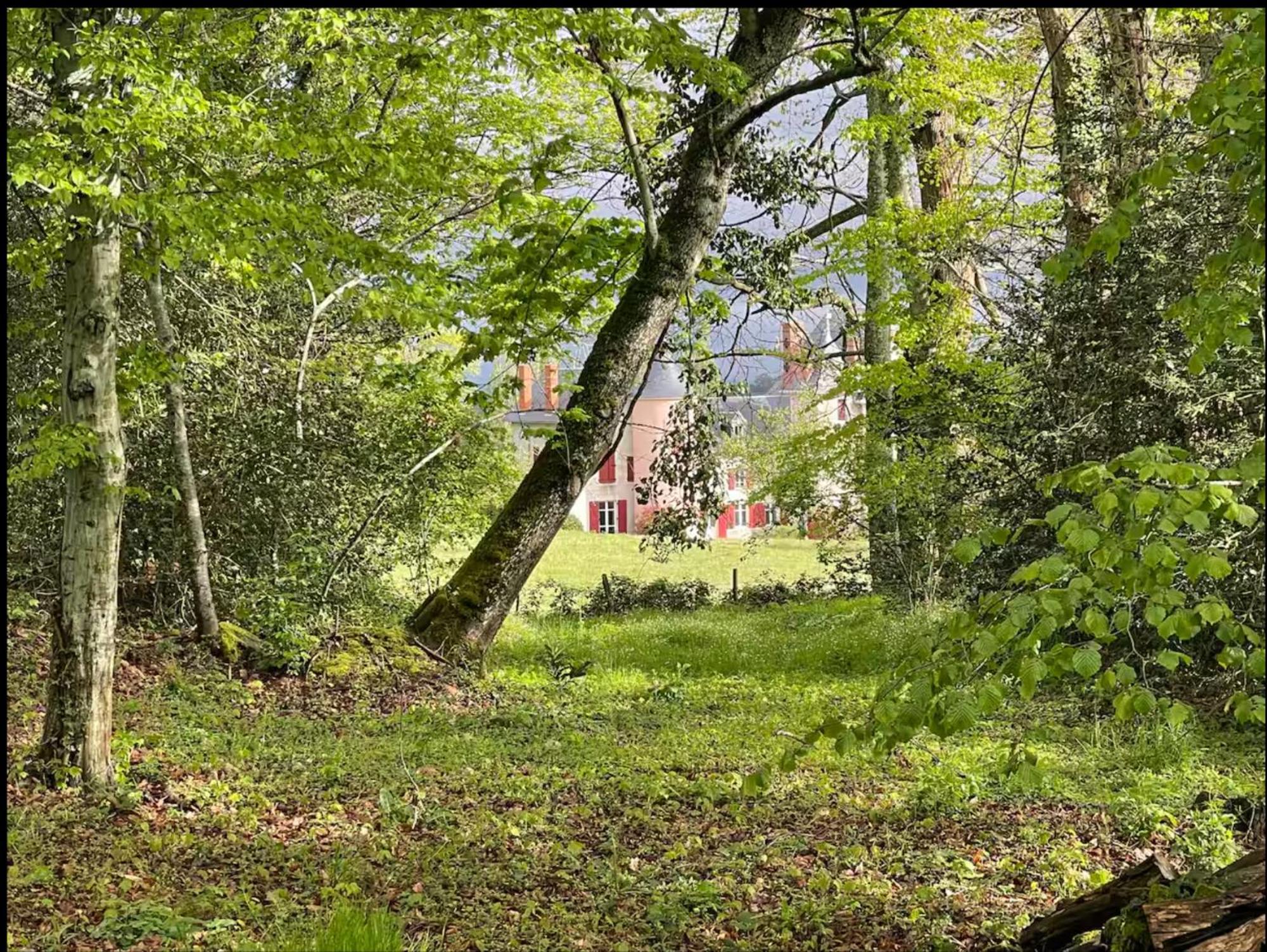 Chateau De La Combe La Celle  Bagian luar foto